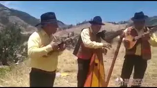 Conjunto Musical QORI KINTU DE PARURO