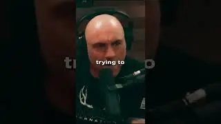 You've got to STOP | Joe Rogan