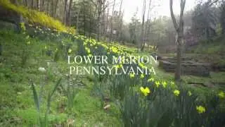 Lower Merion Pennsylvania