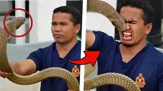 THESE CHARMERS ARE ATTACKED BY DEADLY SNAKES!
