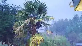 Early post Christmas storm! #storm#2024
