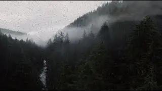Non-Stop Forest Rain Sounds for Sleeping | Relaxing Nature Ambience 🌧️