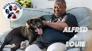 Alfred & Louie: Pet for Vets Super Bond Story