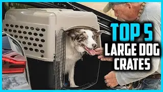 ✅ Топ-5 лучших клеток для больших собак 2026 года