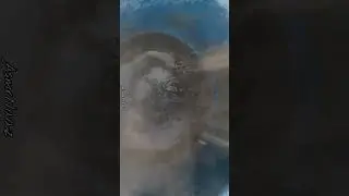 Dust Volcano🖤🤍💨 Dust Pour Satisfying video