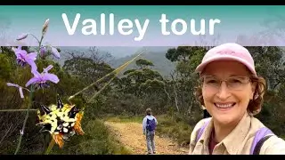 Virtual tour of a hidden valley and misty hills #aussienature