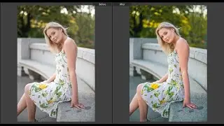 Free lightroom preset & editing tutorial ( PC ) in Bangla