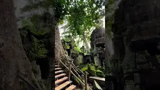 Siem Reap, Cambodia 🇰🇭 #angkorwattemple #angkorwat #angkortemple #bayontemple #walkstreet