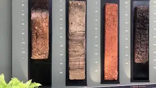十二種土綱樣品展示 The Tweive Soil Orders