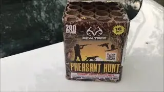 Pheasant Hunt By Realtree Fireworks