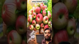 How To Grow🍎 Apple Tree with these unique skills #gardening #apple #satisfying #shorts