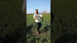 Revolutionizing Farming: Cutting Grass Faster with New Tech