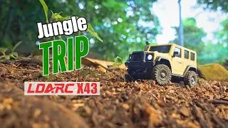 Micro crawler course LDARC X43 Jungle Trip