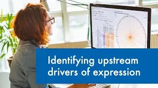 Identifying upstream drivers of expression