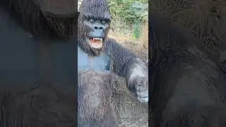 King Kong at Dino Valley Islamabad