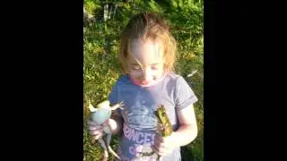 Screaming frog