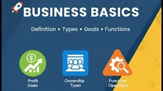 Business Fundamentals: Definition, Types of Ownership, and 5 Main Functions 🚀