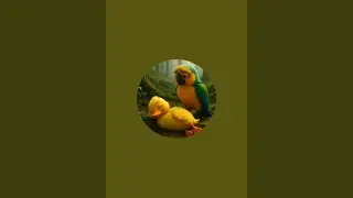 AI Ka cmal is live!