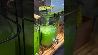 Cactus juice on the streets of Hangzhou! 22 yuan a cup! So refreshing! #HangzhouFood #CactusJuice...
