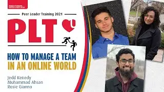 How to Manage a Team in an Online World