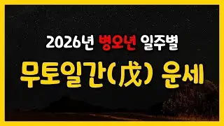 병오년 무토일간 운세