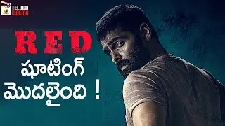 Ram RED Movie Latest Update | Kishore Tirumala | Sravanthi Ravi Kishore | Mani Sharma |Telugu Cinema