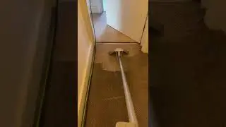 Steam Cleaning Carpets in a London Home Spaces
