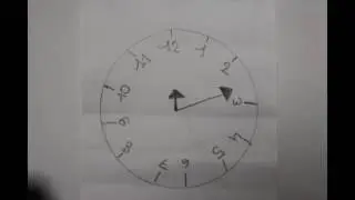 Feuilloscopes