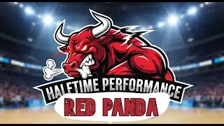 Bulls Halftime performance: Red Panda