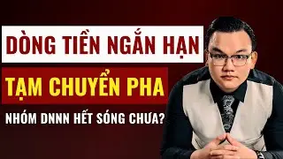 Chuyển Dịch D&ograve;ng Tiền Ngắn Hạn: CP DNNN Hết S&oacute;ng Chưa? Xem Ngay!