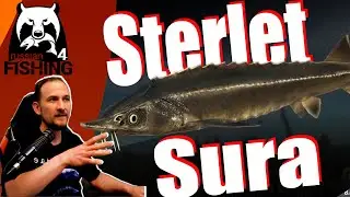 Russian Fishing 4 - Sura - Sterlet, ganz einfach!?