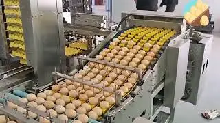 TD-713 Egg Packing Machine  Automatic Farm Packer Capacity 30,000 Eggs Per Hour