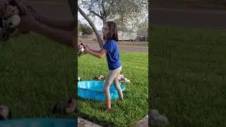webkinz pool party part one