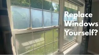 Window Fix and Garden Rescue DIY VLOG