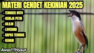 MASTERAN SUARA BURUNG CENDET MATERI TERBAIK 2025