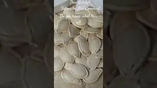 Mystery Seeds Update#1 Do you know what this is? Please Help!!