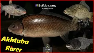 Black Buffalo & more Akhtuba River #108 | Russian Fishing 4