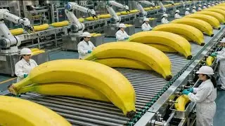 Inside a Banana Bread Factory | An Incredible Automated Production Process