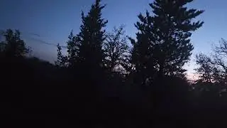Lov &scaron;ljuke prelet - slow motion