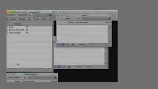 how to organizing Bins folders in Avid Media Composer