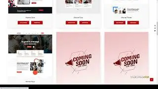 Bizup - Business Consulting WordPress Theme insurance agency