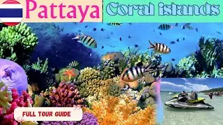 Coral Island | Koh Larn Island | water activities