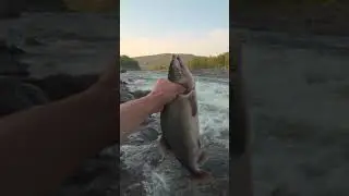 Bare hand fishing