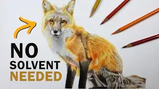 How to Draw a Fox with Colored Pencils | No Solvent Technique Tutorial