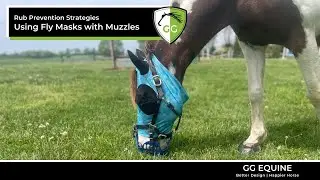Info for Horses Using Fly Masks with Grazing Muzzles