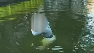 Swimming in San Antonio River prohibited, River Authority says following viral River Walk incident