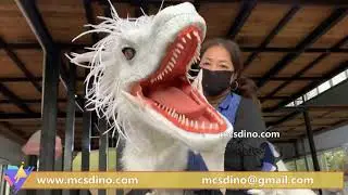 BB078-Wrap around white dragon puppet