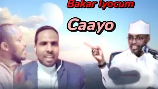 QISO cajib ahaa 