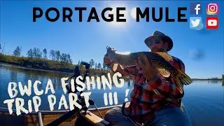 BWCA Entry Point #30 Lake Three  | Boundary Waters Camping Trip | - Sept &lsquo;21 Part 3