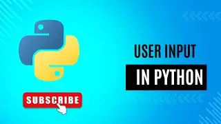User input in Python | Python for beginners